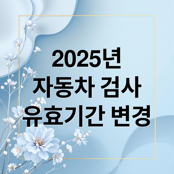 2025년
자동차 검사
유효기간 변경 (자동차 검사 기간 확인)