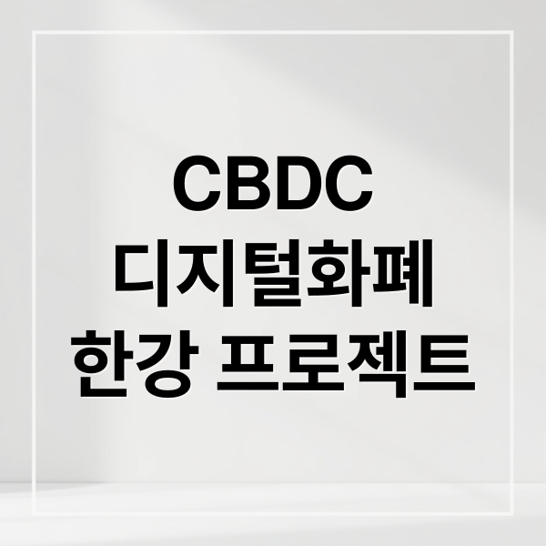 CBDC
디지털화폐
한강 프로젝트 (중앙은행 디지탈 화폐 테스트)