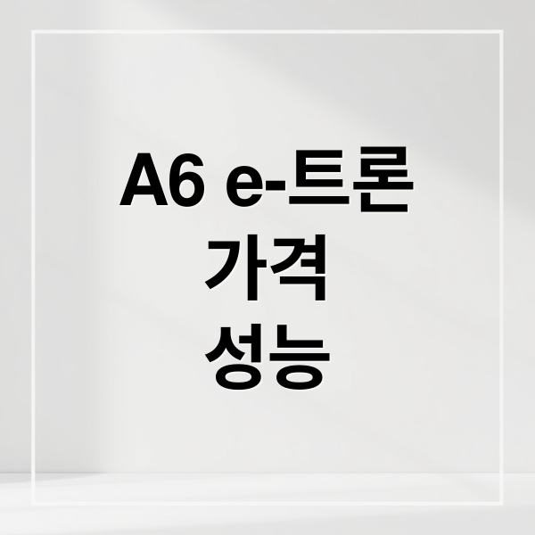 A6 e-트론
가격
성능 (아우디 A6 e-트론)