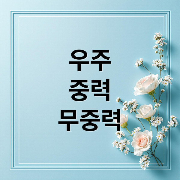 우주
중력
무중력 (우주에서의 중력과 무중력 현상)