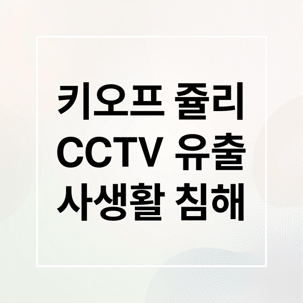 키오프 쥴리
CCTV 유출
사생활 침해 (키오프 쥴리 연예인 사생활 침해)
