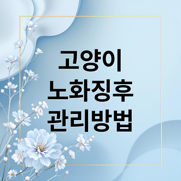 고양이
노화징후
관리방법 (고양이 노화 신호 체크포인트)