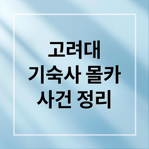 고려대
기숙사 몰카
사건 정리 (고려대 기숙사 몰카 사건)