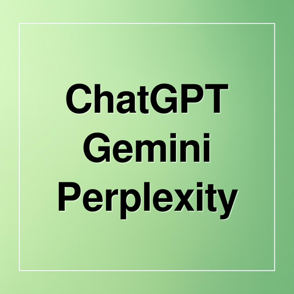 ChatGPT
Gemini
Perplexity (ChatGPT vs 구글 Gemini vs Perplexity 비교 분석: 2025년 가장 똑똑한 AI는 누구인가?)