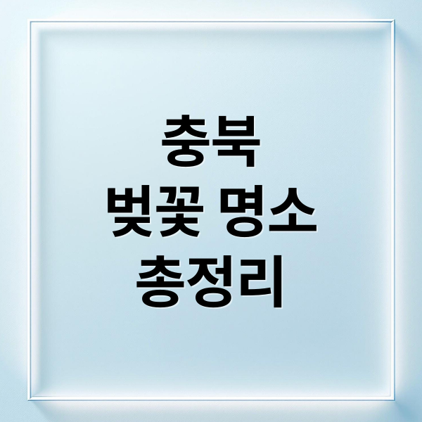 충북
벚꽃 명소
총정리 (충북 벚꽃 명소)