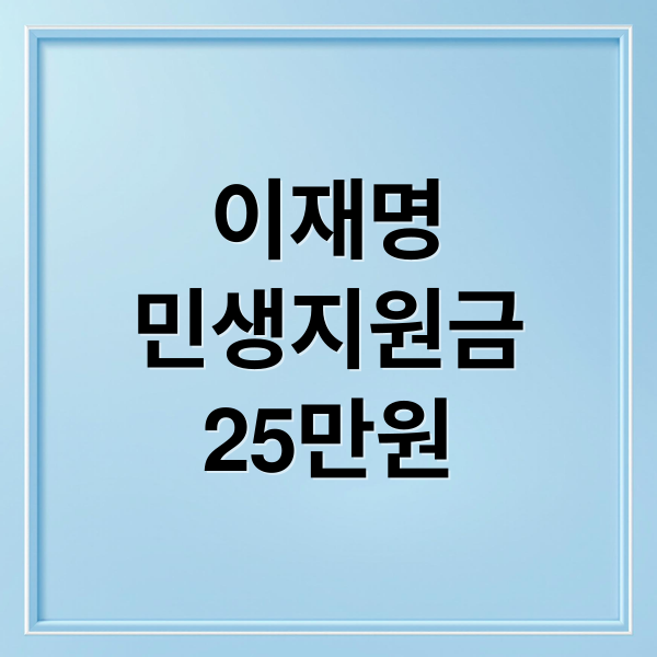 이재명
민생지원금
25만원 (이재명 민생지원금)