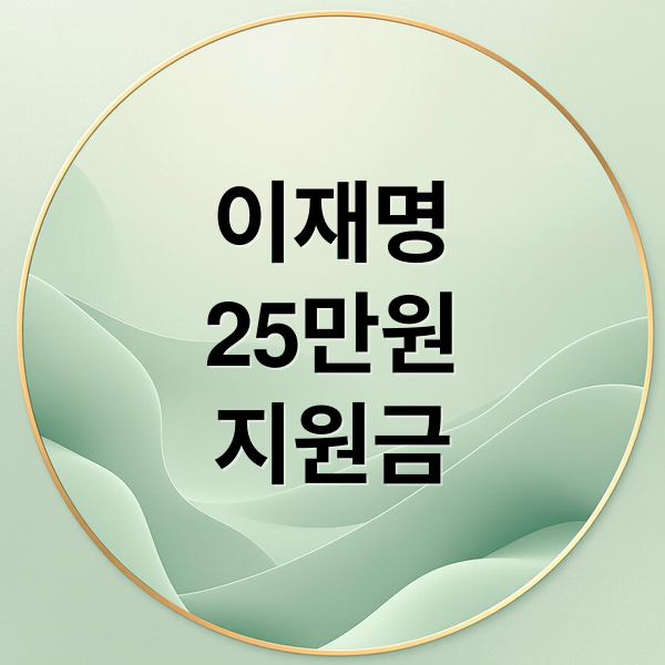 이재명
25만원
지원금 (이재명 25만원 민생지원금)