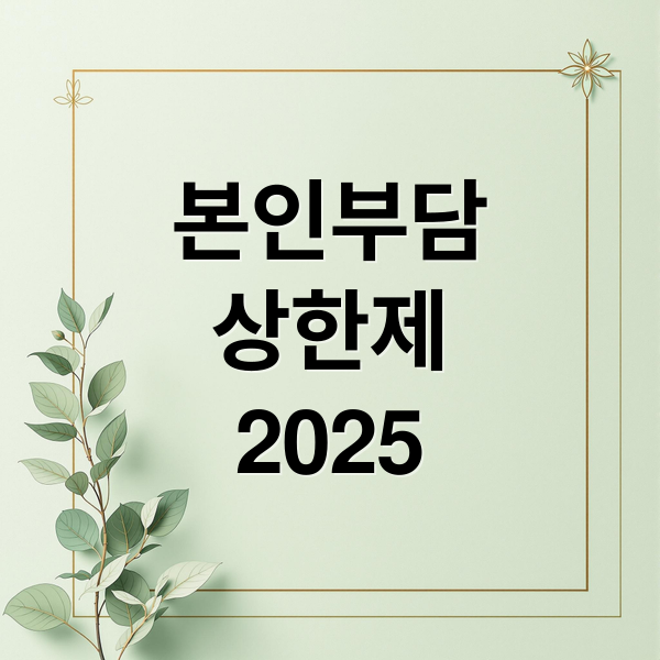 본인부담
상한제
2025 (본인부담상한제 환급)