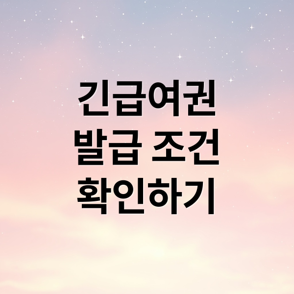 긴급여권
발급 조건
확인하기 (긴급여권 발급)