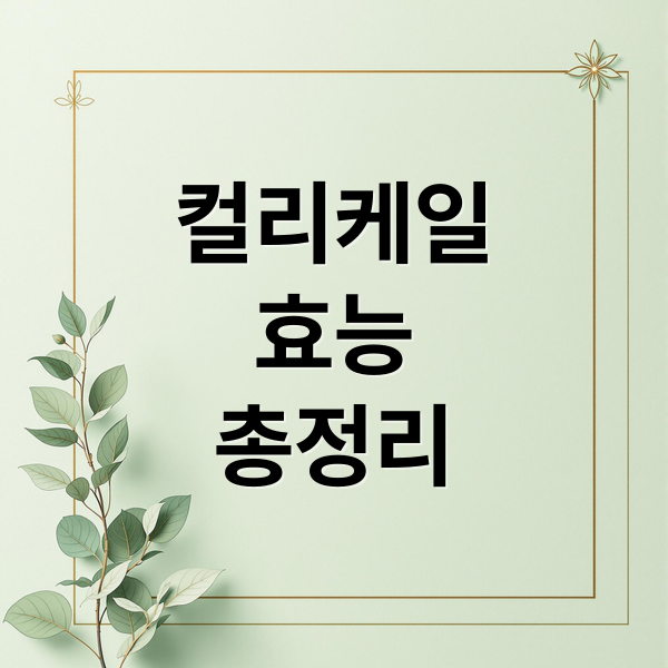 컬리케일
효능
총정리 (유기농 컬리케일 효능 해독 다이어트)