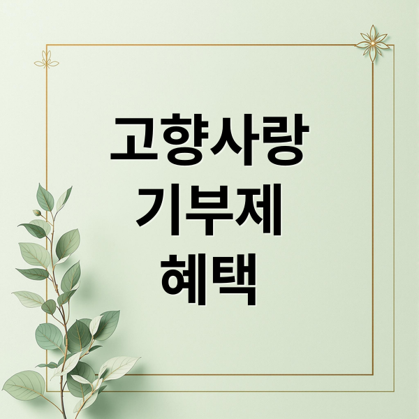 고향사랑
기부제
혜택 (고향사랑 기부제 답례품)