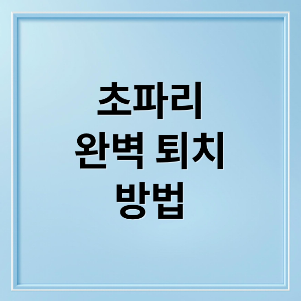 초파리
완벽 퇴치
방법 (초파리 트랩 퇴치제)