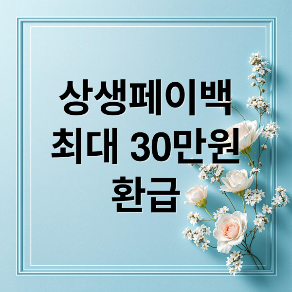 상생페이백
4
최대 30만원
5
환급 (상생페이백)