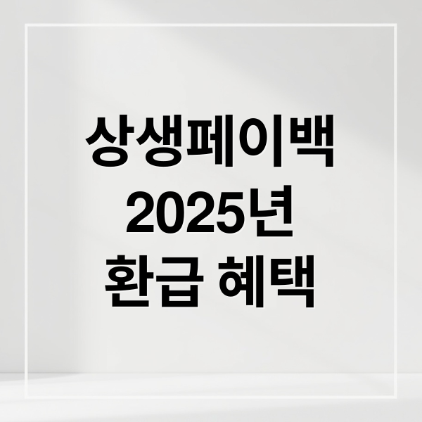 상생페이백
2025년
환급 혜택 (상생페이백 환급조회)