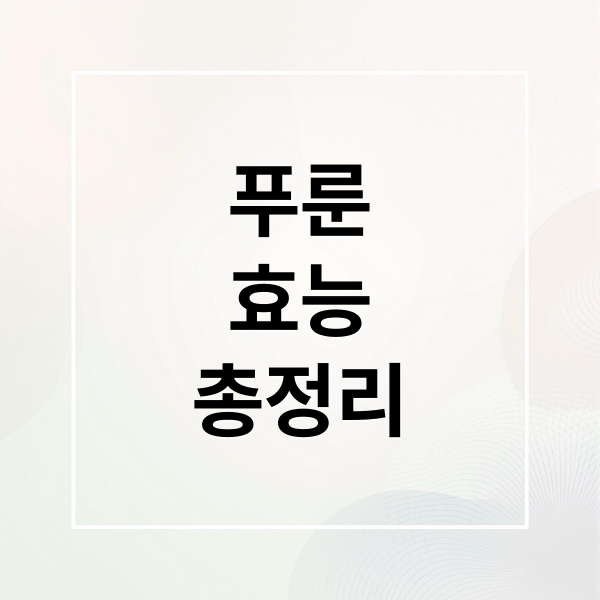 푸룬 효능 총정리