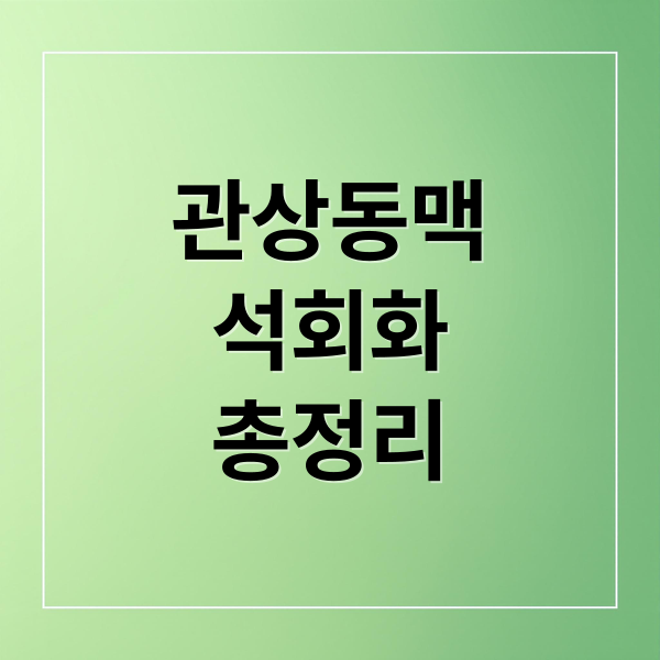 관상동맥
석회화
총정리 (관상동맥 석회화 증상)