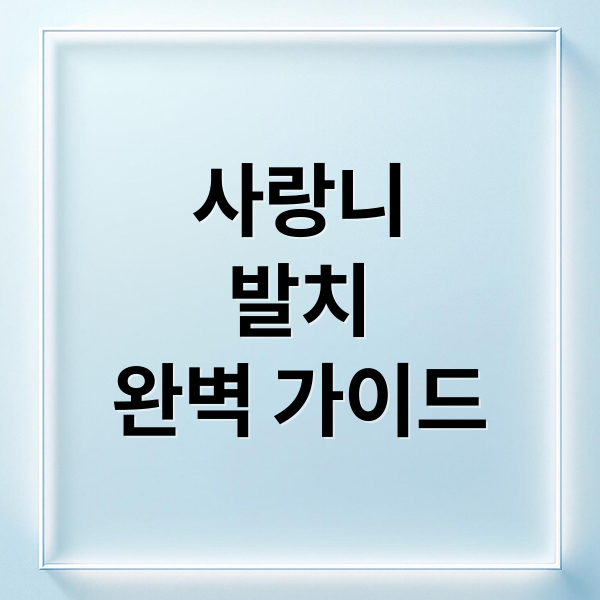 사랑니
발치
완벽 가이드 (사랑니 발치)