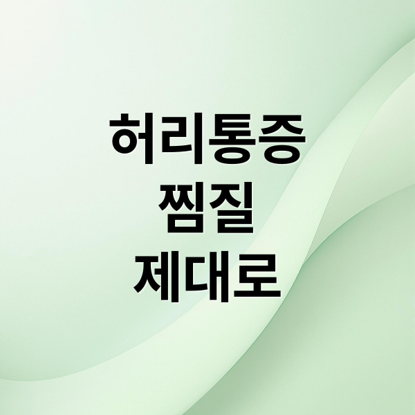 허리통증 찜질 제대로 (허리 통증 찜질)