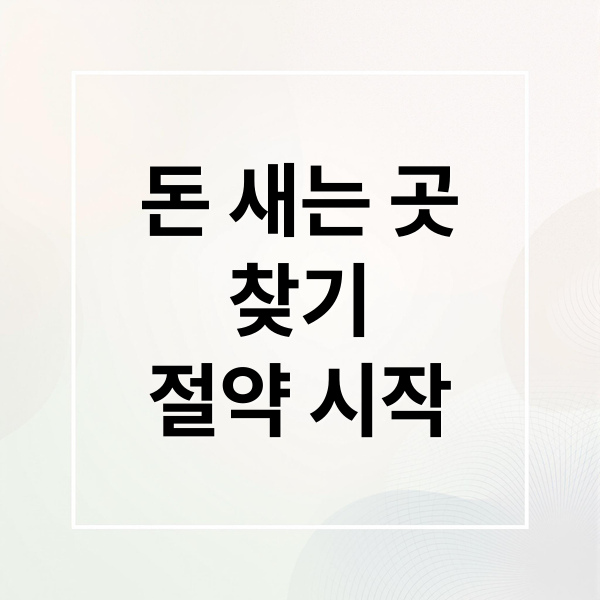 돈 새는 곳
찾기
절약 시작 (가계부 지출 구조)