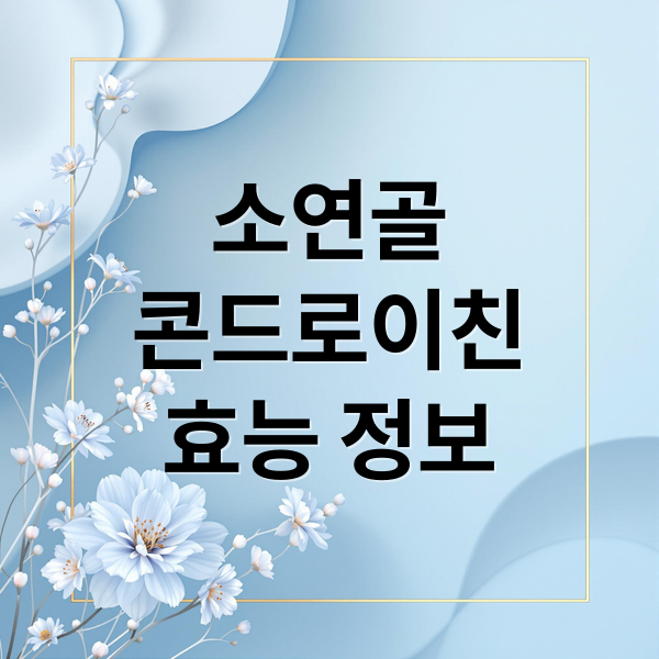 소연골
콘드로이친
효능 정보 (소연골 콘드로이친 효능 부작용)