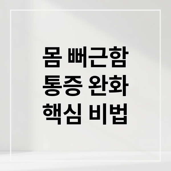 몸 뻐근함
통증 완화
핵심 비법 (통증 완화 마사지 찜질 스트레칭)