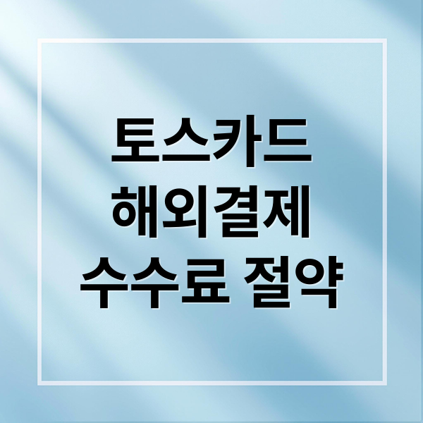 토스카드
해외결제
수수료 절약 (토스카드 해외결제 수수료 일본 호주 베트남)