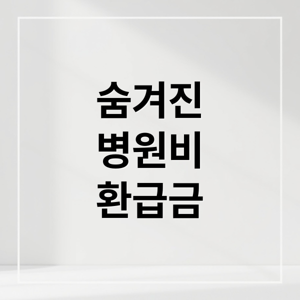 숨겨진
병원비
환급금 (병원비 환급금 조회 실비신청)