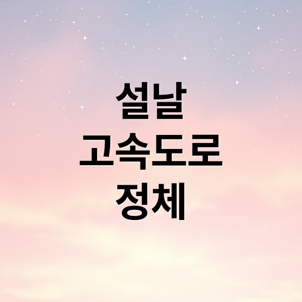 설날
고속도로
정체 (설날 고속도로)