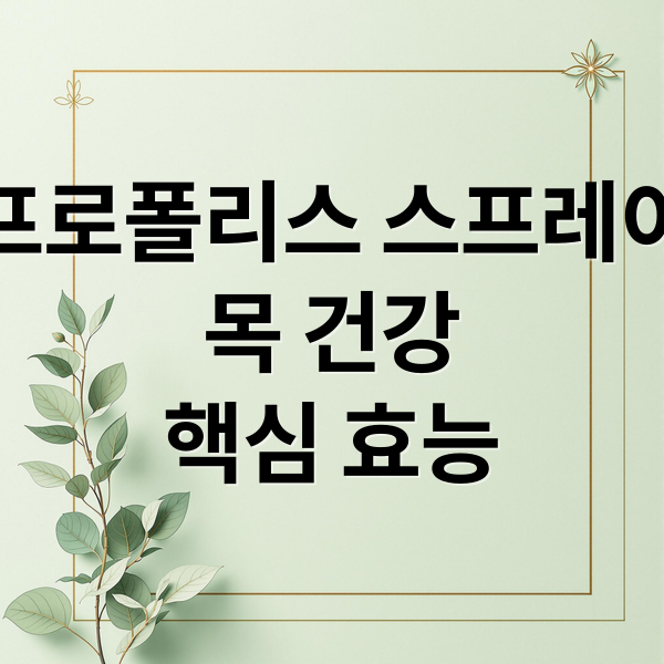 프로폴리스 스프레이
목 건강
핵심 효능 (프로폴리스 스프레이 효능)