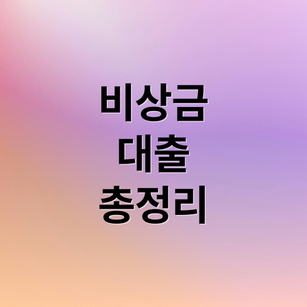 비상금대출총정리 (비상금 대출 한도 계산,비상금 대출 승인 조건)