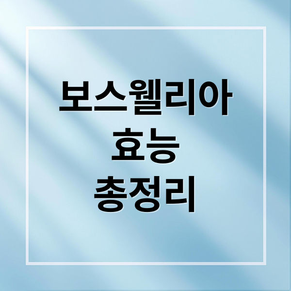 보스웰리아
효능
총정리 (보스웰리아 효능 관절염)