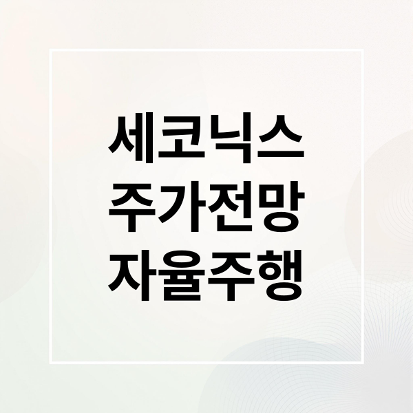 세코닉스
주가전망
자율주행 (세코닉스 주가 전망)