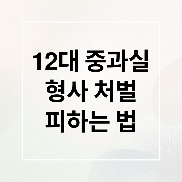 12대 중과실
형사 처벌
피하는 법 (12대 중과실 사고 형사처벌)