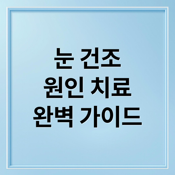 눈 건조
원인 치료
완벽 가이드 (안구건조증 안과 추천 루틴)
