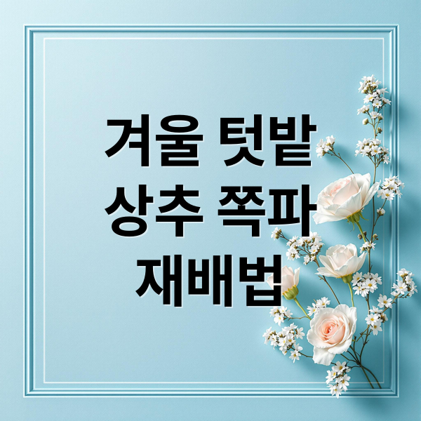겨울 텃밭
상추 쪽파
재배법 (상추 쪽파 월동 재배)
