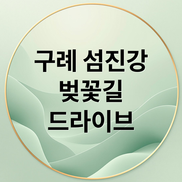 구례 섬진강
벚꽃길
드라이브 (구례 섬진강 드라이브)