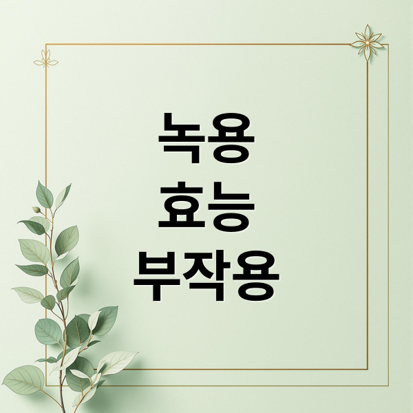 녹용
효능
부작용 (녹용 효능 및 부작용)