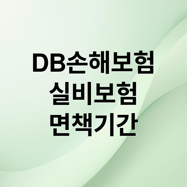 DB손해보험
실비보험
면책기간 (DB손해보험 등 각종 손해보험 실비보험 면책기간)