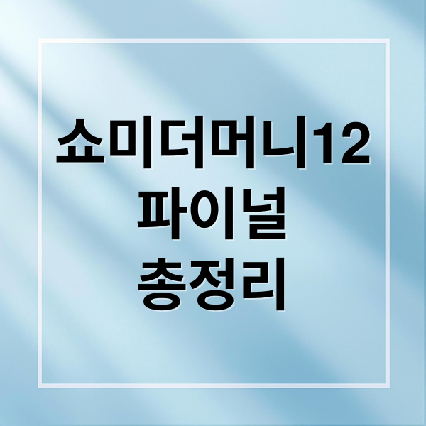쇼미더머니12
파이널
총정리 (쇼미더머니 12 파이널)
