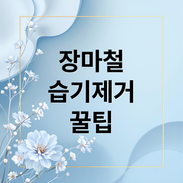 장마철
습기제거
꿀팁 (장마철 집 습기 잡고 쾌적하게 보내는 실전 꿀팁)