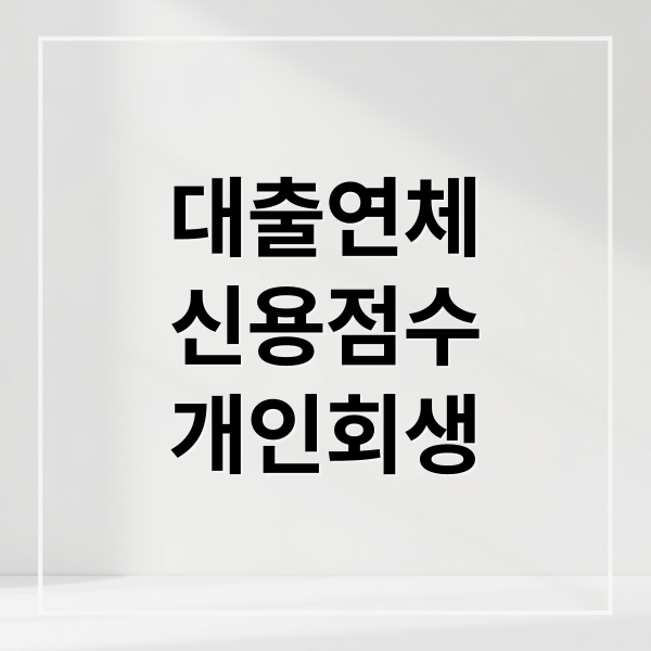 대출연체
신용점수
개인회생 (대출 연체 불이익)