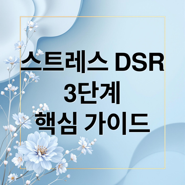 스트레스 DSR
3단계
핵심 가이드 (DSR 3단계)