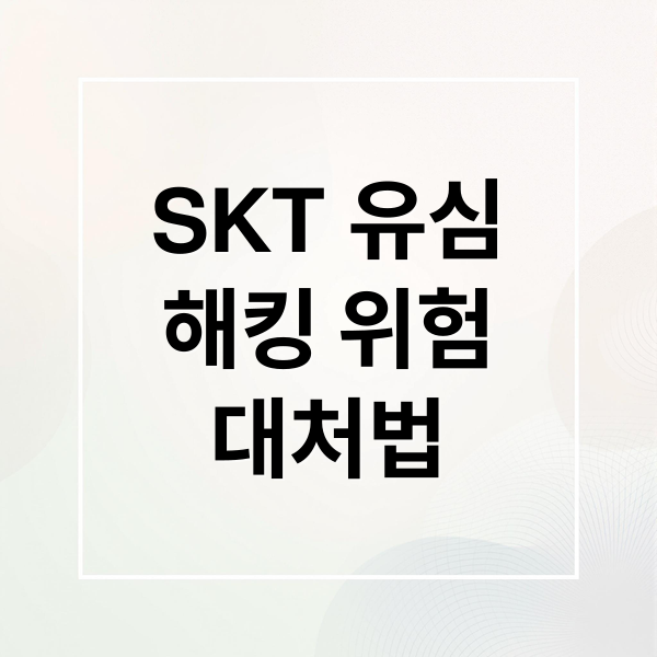 SKT 유심
해킹 위험
대처법 (SKT 유심 해킹 IMEI 유출)