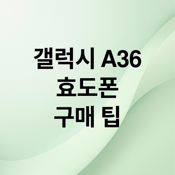 갤럭시 A36
효도폰
구매 팁 (갤럭시 A36 5G 2025 효도폰)