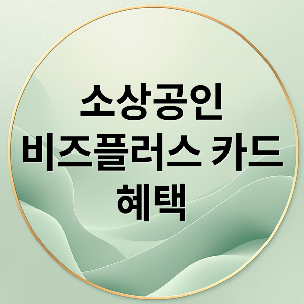 소상공인
비즈플러스 카드
혜택 (소상공인 비즈플러스카드 지원사업 및 소상공인이라면 알아야하는 필수정보 총정리)