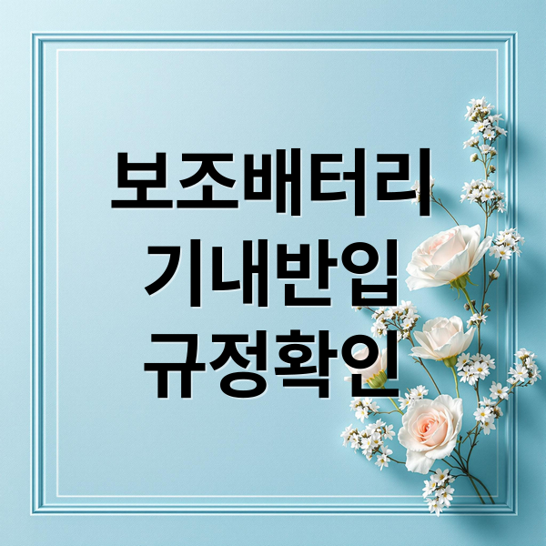 보조배터리
기내반입
규정확인 (보조배터리 기내반입 규정,보조배터리 기내반입 방법)