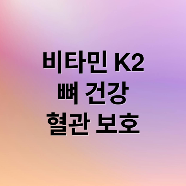 비타민 K2
뼈 건강
혈관 보호 (비타민 K2 효능)