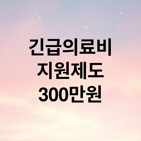 긴급의료비
지원제도
300만원 (긴급의료비지원)