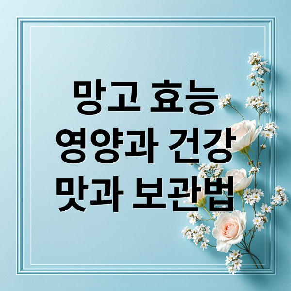 망고 효능
영양과 건강
맛과 보관법 (망고 효능 영양성분)