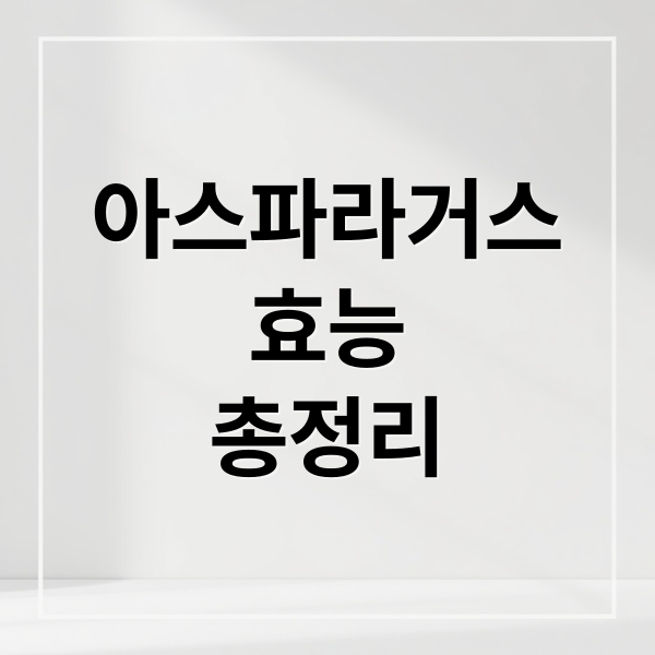 아스파라거스
효능
총정리 (아스파라거스 효능)